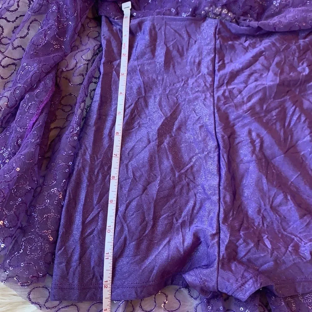 Source Unknown purple sequin